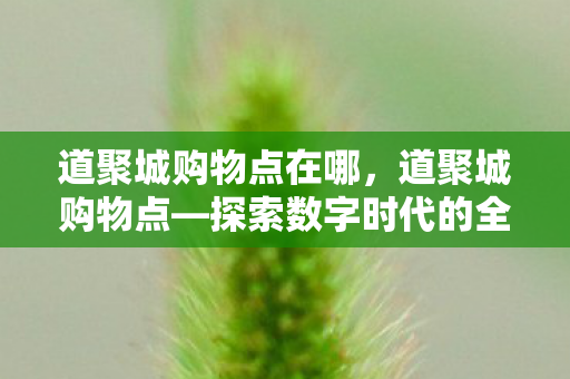 道聚城购物点在哪，道聚城购物点—探索数字时代的全新购物体验