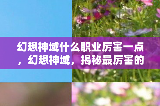 幻想神域什么职业厉害一点，幻想神域，揭秘最厉害的职业