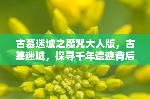 古墓迷城之魔咒大人版，古墓迷城，探寻千年遗迹背后的神秘面纱