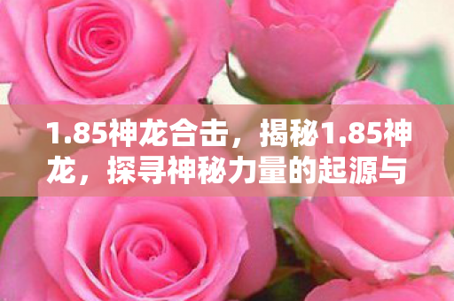 1.85神龙合击，揭秘1.85神龙，探寻神秘力量的起源与影响