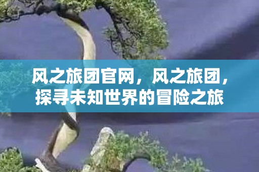 风之旅团官网，风之旅团，探寻未知世界的冒险之旅
