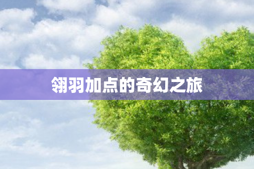 翎羽加点的奇幻之旅
