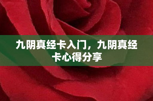 九阴真经卡入门，九阴真经卡心得分享