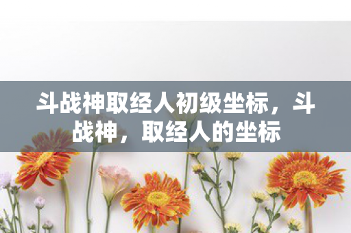 斗战神取经人初级坐标，斗战神，取经人的坐标