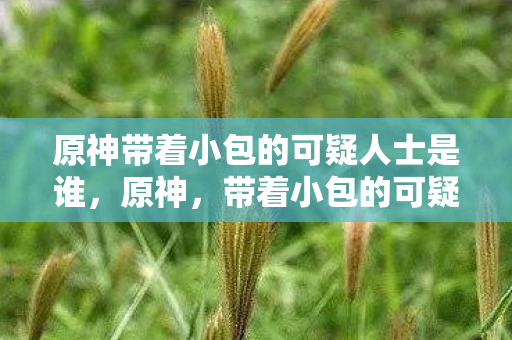 原神带着小包的可疑人士是谁，原神，带着小包的可疑人士的秘密之旅