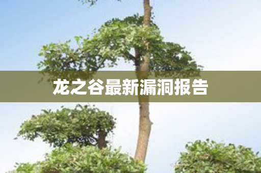 龙之谷最新漏洞报告