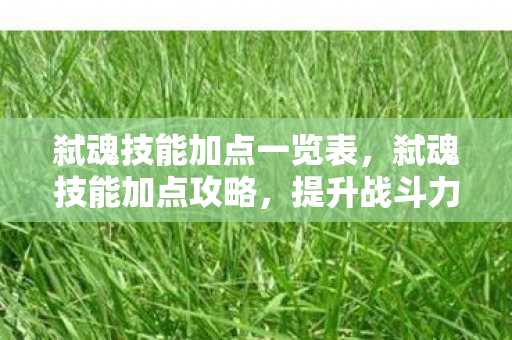 弑魂技能加点一览表，弑魂技能加点攻略，提升战斗力的关键