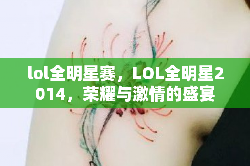lol全明星赛，LOL全明星2014，荣耀与激情的盛宴