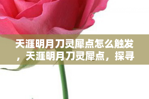 天涯明月刀灵犀点怎么触发，天涯明月刀灵犀点，探寻游戏内外的神秘魅力
