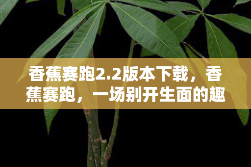 香蕉赛跑2.2版本下载，香蕉赛跑，一场别开生面的趣味竞技
