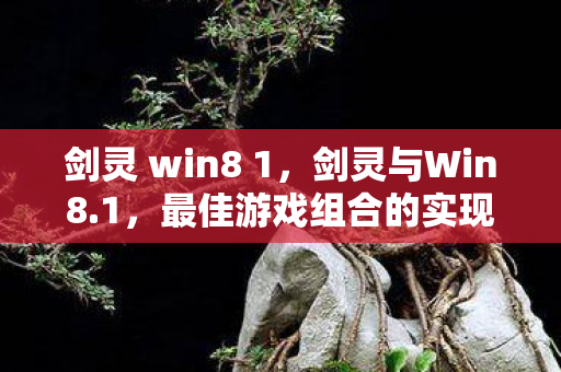 剑灵 win8 1，剑灵与Win8.1，最佳游戏组合的实现之道