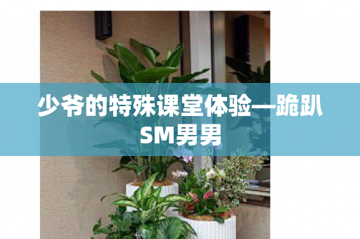 少爷的特殊课堂体验—跪趴SM男男