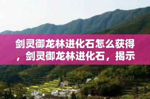 剑灵御龙林进化石怎么获得，剑灵御龙林进化石，揭示神秘力量的秘密