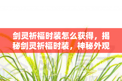 剑灵祈福时装怎么获得，揭秘剑灵祈福时装，神秘外观下的独特魅力与实用价值