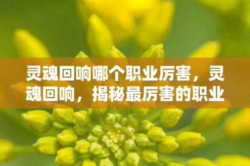 灵魂回响哪个职业厉害，灵魂回响，揭秘最厉害的职业