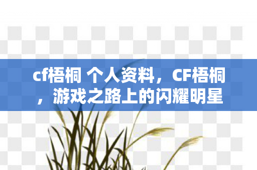 cf梧桐 个人资料，CF梧桐，游戏之路上的闪耀明星
