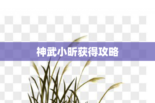 神武小昕获得攻略
