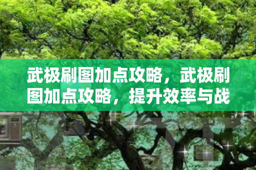 武极刷图加点攻略，武极刷图加点攻略，提升效率与战斗力的关键