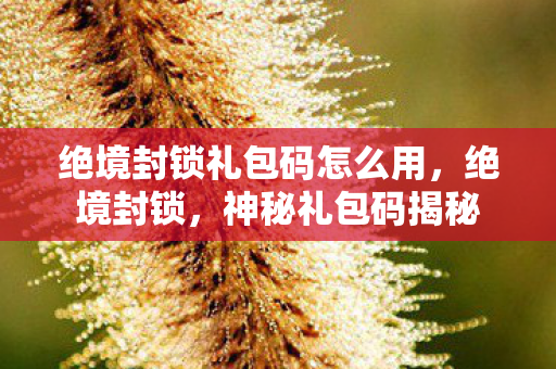 绝境封锁礼包码怎么用，绝境封锁，神秘礼包码揭秘