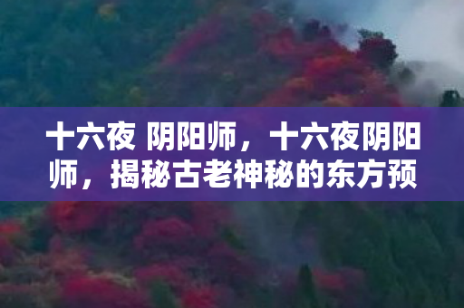 十六夜 阴阳师，十六夜阴阳师，揭秘古老神秘的东方预言术