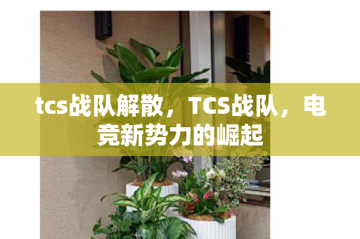 tcs战队解散，TCS战队，电竞新势力的崛起