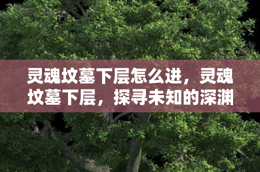 灵魂坟墓下层怎么进，灵魂坟墓下层，探寻未知的深渊世界