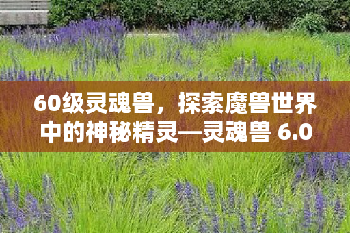 60级灵魂兽，探索魔兽世界中的神秘精灵—灵魂兽 6.0版本全新体验