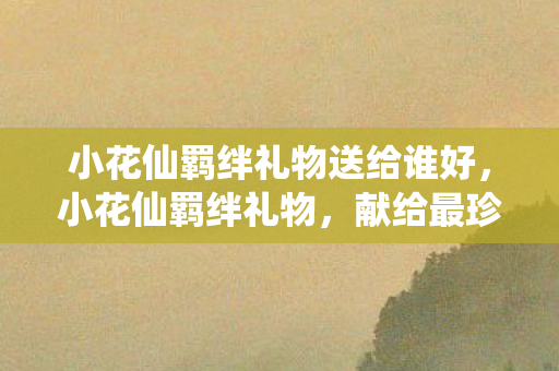 小花仙羁绊礼物送给谁好，小花仙羁绊礼物，献给最珍贵的TA
