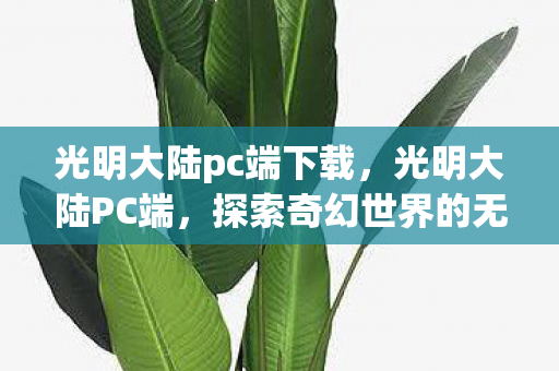 光明大陆pc端下载，光明大陆PC端，探索奇幻世界的无限可能