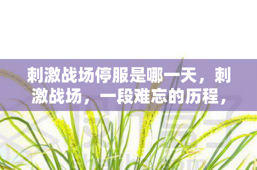 刺激战场停服是哪一天，刺激战场，一段难忘的历程，终究落幕，玩家们的无尽感慨与回忆