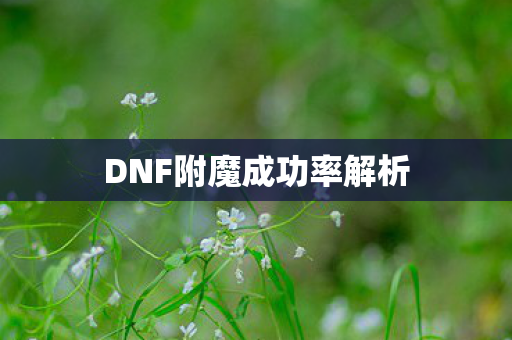 DNF附魔成功率解析