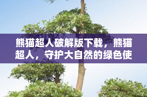 熊猫超人破解版下载，熊猫超人，守护大自然的绿色使者