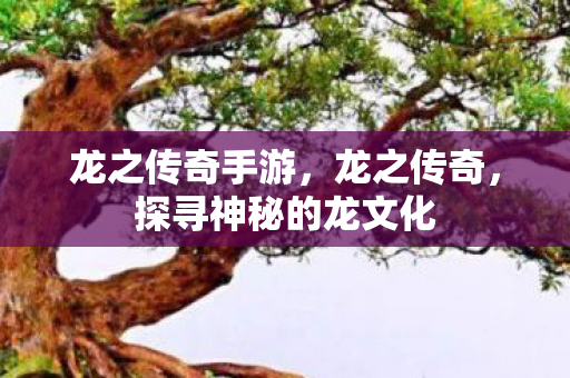 龙之传奇手游，龙之传奇，探寻神秘的龙文化