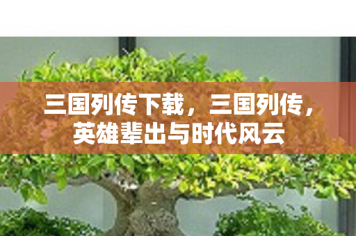 三国列传下载，三国列传，英雄辈出与时代风云