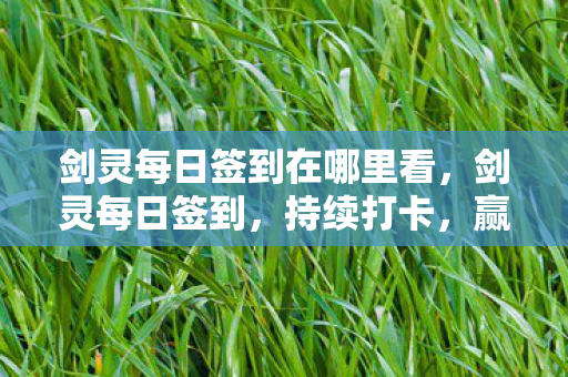 剑灵每日签到在哪里看，剑灵每日签到，持续打卡，赢取丰厚奖励！