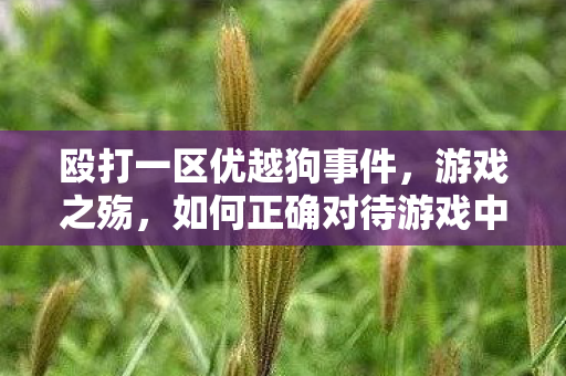 殴打一区优越狗事件，游戏之殇，如何正确对待游戏中的优越感和暴力行为