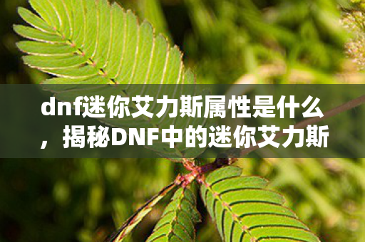 dnf迷你艾力斯属性是什么，揭秘DNF中的迷你艾力斯属性，全新体验与独特魅力
