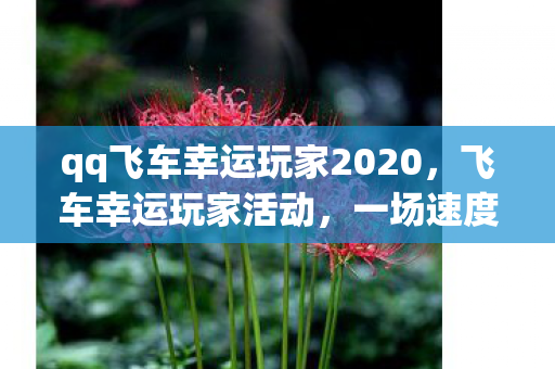 qq飞车幸运玩家2020，飞车幸运玩家活动，一场速度与激情的狂欢盛宴