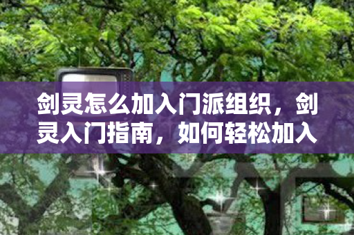 剑灵怎么加入门派组织，剑灵入门指南，如何轻松加入门派