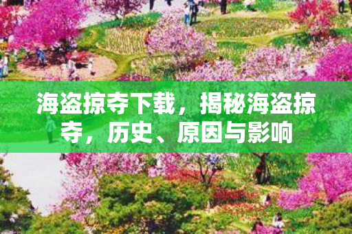 海盗掠夺下载，揭秘海盗掠夺，历史、原因与影响