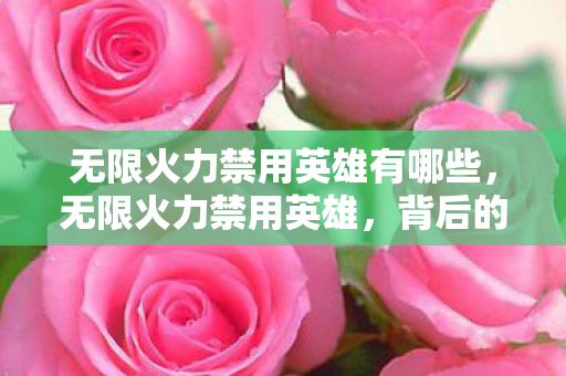 无限火力禁用英雄有哪些，无限火力禁用英雄，背后的原因与策略考量