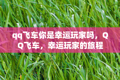 qq飞车你是幸运玩家吗，QQ飞车，幸运玩家的旅程