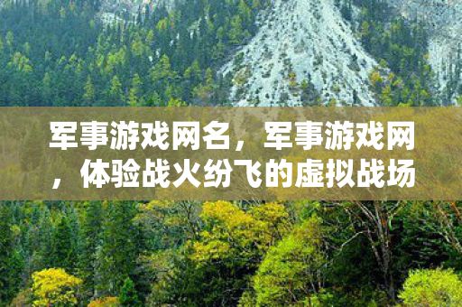 军事游戏网名，军事游戏网，体验战火纷飞的虚拟战场