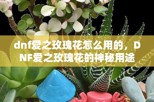 dnf爱之玫瑰花怎么用的，DNF爱之玫瑰花的神秘用途，你了解了吗？