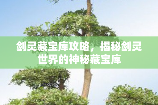 剑灵藏宝库攻略，揭秘剑灵世界的神秘藏宝库