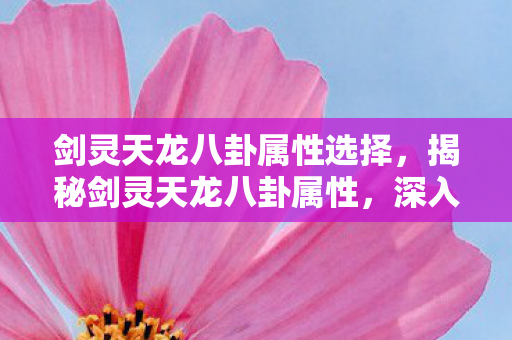 剑灵天龙八卦属性选择，揭秘剑灵天龙八卦属性，深入解析游戏中的神秘力量