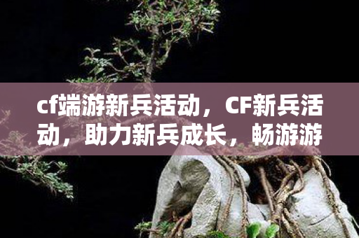 cf端游新兵活动，CF新兵活动，助力新兵成长，畅游游戏世界