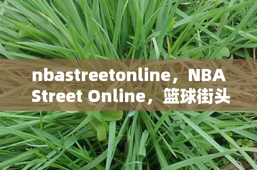nbastreetonline，NBA Street Online，篮球街头文化的网络重生