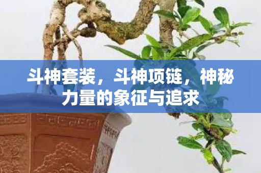 斗神套装，斗神项链，神秘力量的象征与追求