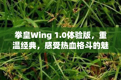 拳皇Wing 1.0体验版，重温经典，感受热血格斗的魅力